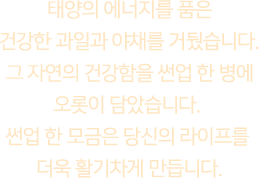 태양의 에너지를 품은 건강한 과일과 야채를 거뒀습니다. 그 자연의 건강함을 썬업 한 병에 오롯이 담았습니다. 썬업 한 모금은 당신의 라이프를 더욱 활기차게 만듭니다.